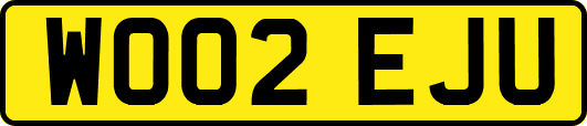 WO02EJU