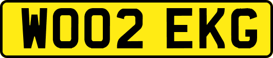 WO02EKG