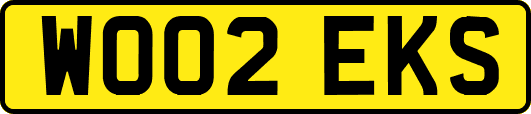 WO02EKS