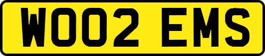 WO02EMS