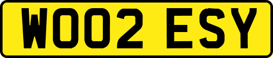 WO02ESY