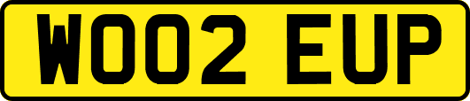 WO02EUP