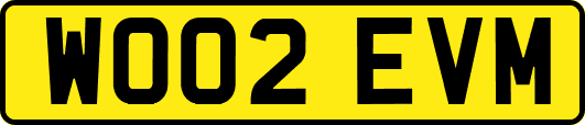 WO02EVM