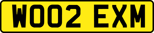 WO02EXM