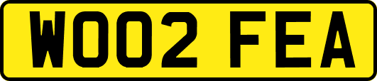 WO02FEA