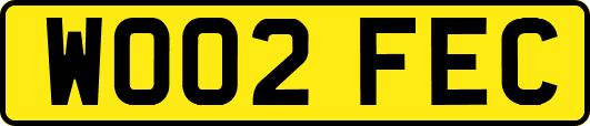 WO02FEC