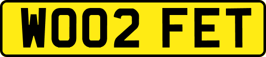 WO02FET