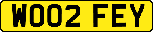 WO02FEY