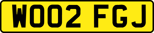 WO02FGJ