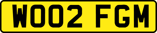 WO02FGM