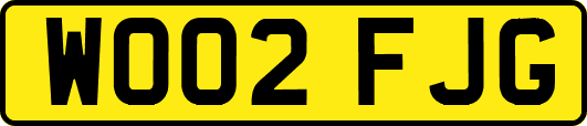 WO02FJG