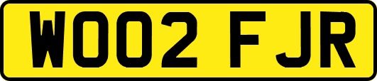 WO02FJR