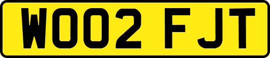 WO02FJT