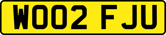 WO02FJU