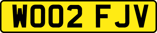 WO02FJV