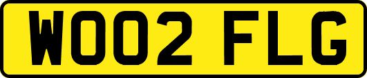WO02FLG