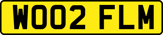 WO02FLM