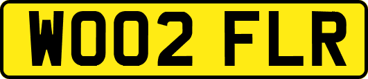 WO02FLR
