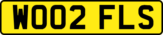 WO02FLS