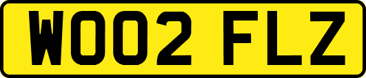WO02FLZ