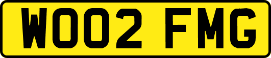 WO02FMG