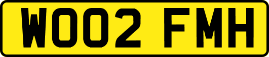 WO02FMH