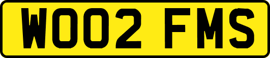 WO02FMS