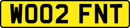 WO02FNT
