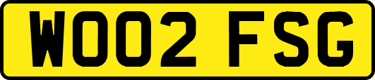 WO02FSG