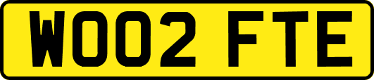 WO02FTE