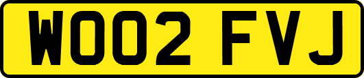 WO02FVJ