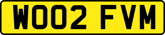 WO02FVM