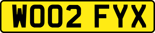 WO02FYX