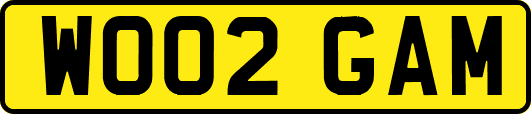 WO02GAM