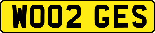 WO02GES