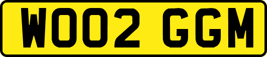 WO02GGM