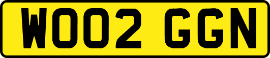 WO02GGN