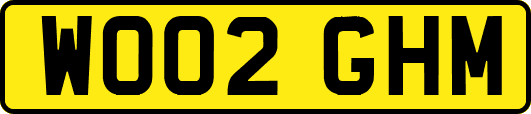 WO02GHM