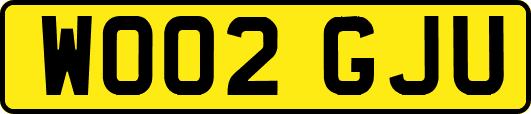 WO02GJU