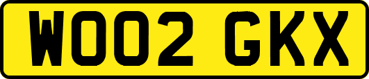 WO02GKX