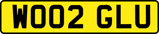 WO02GLU