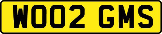 WO02GMS