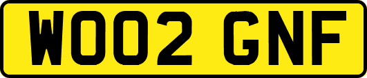 WO02GNF