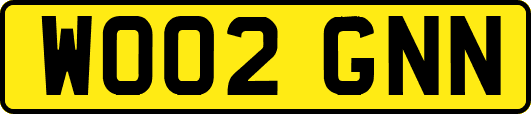 WO02GNN