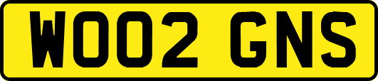 WO02GNS