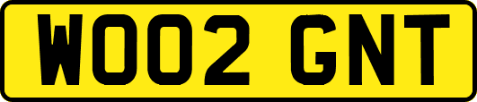 WO02GNT