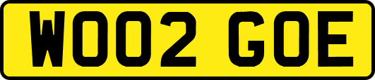WO02GOE