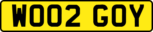 WO02GOY