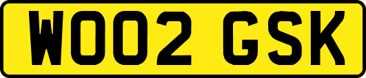 WO02GSK
