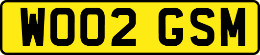 WO02GSM